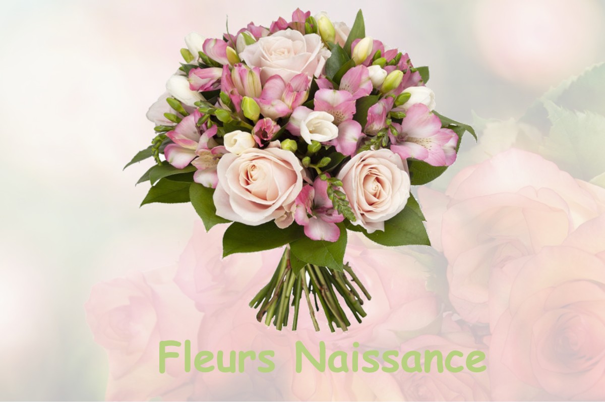fleurs naissance LA-CHAISE-DIEU